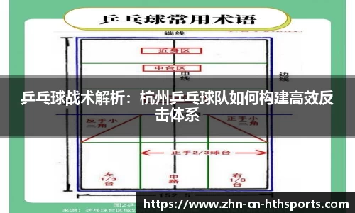乒乓球战术解析：杭州乒乓球队如何构建高效反击体系